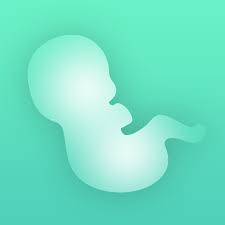 Best Pregnancy Apps: Contraction Timer & Counter